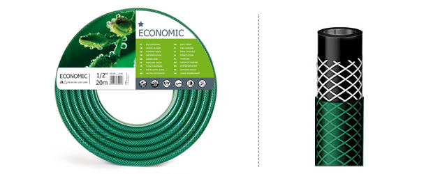 economic en